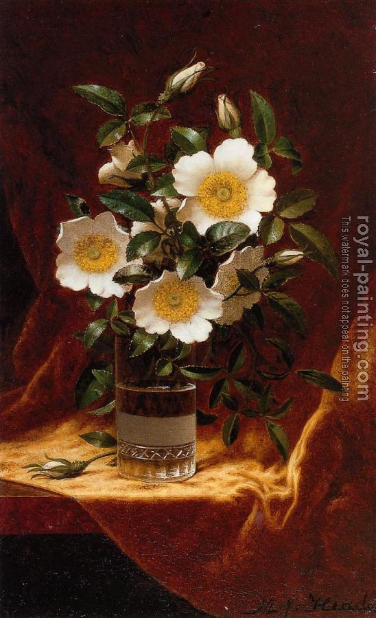 Martin Johnson Heade : Cherokee Roses in a Glass Martin Johnson Heade : Cherokee Roses in a Glass